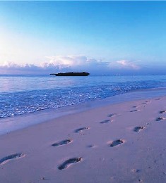 white sands Malindi Beaches in kenya