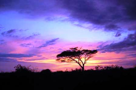 Climate, Weather And Nature In Kenya