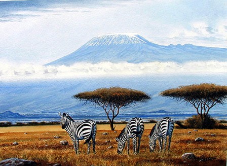 .Amboseli National Park