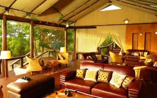 Migration Camp and Safari Lodge in Serengeti Tanzania